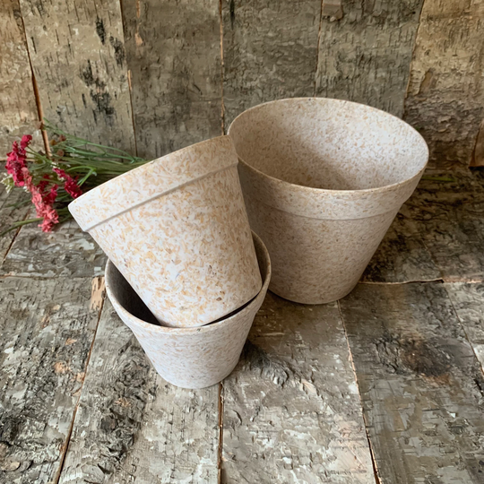Earthy Plant Pot