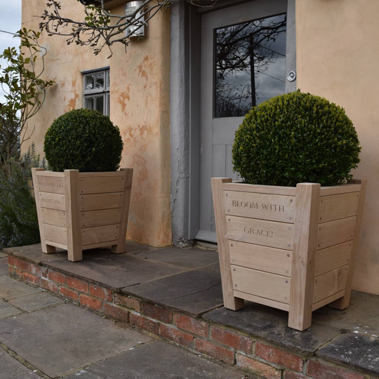 Oak Planter