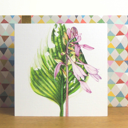 Hosta Greetings Card
