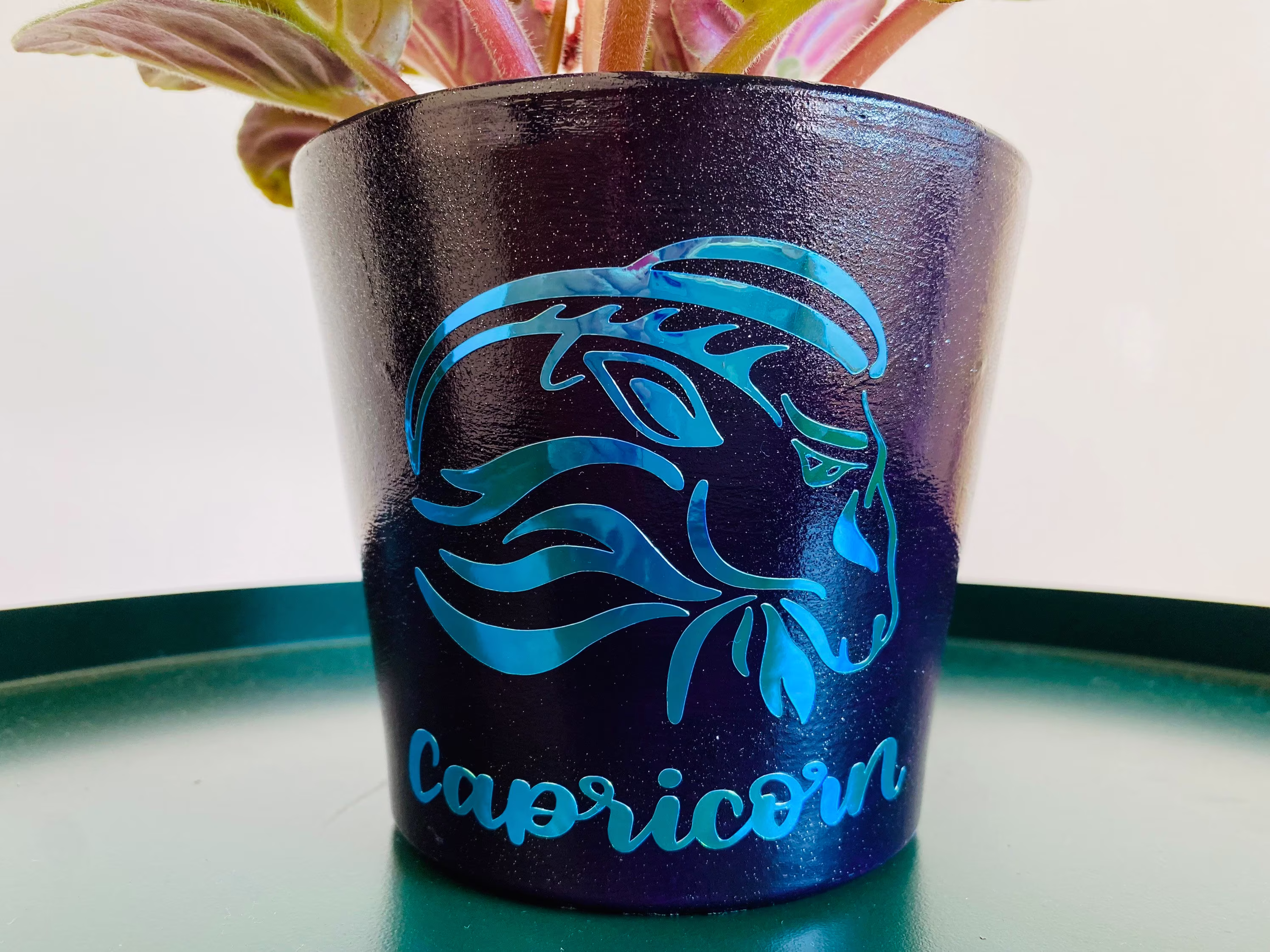 Capricorn Zodiac Plant Pot Planter With Drainage Hole, Made Clay Terra Cotta