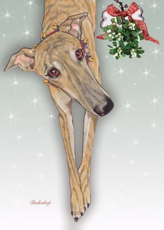 Greyhound Mistletoe Christmas Cards Set Of 10 & Envelopes