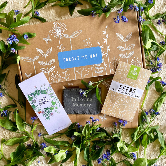 'Forget Me Not' Grow Your Own Remembrance Garden Gift