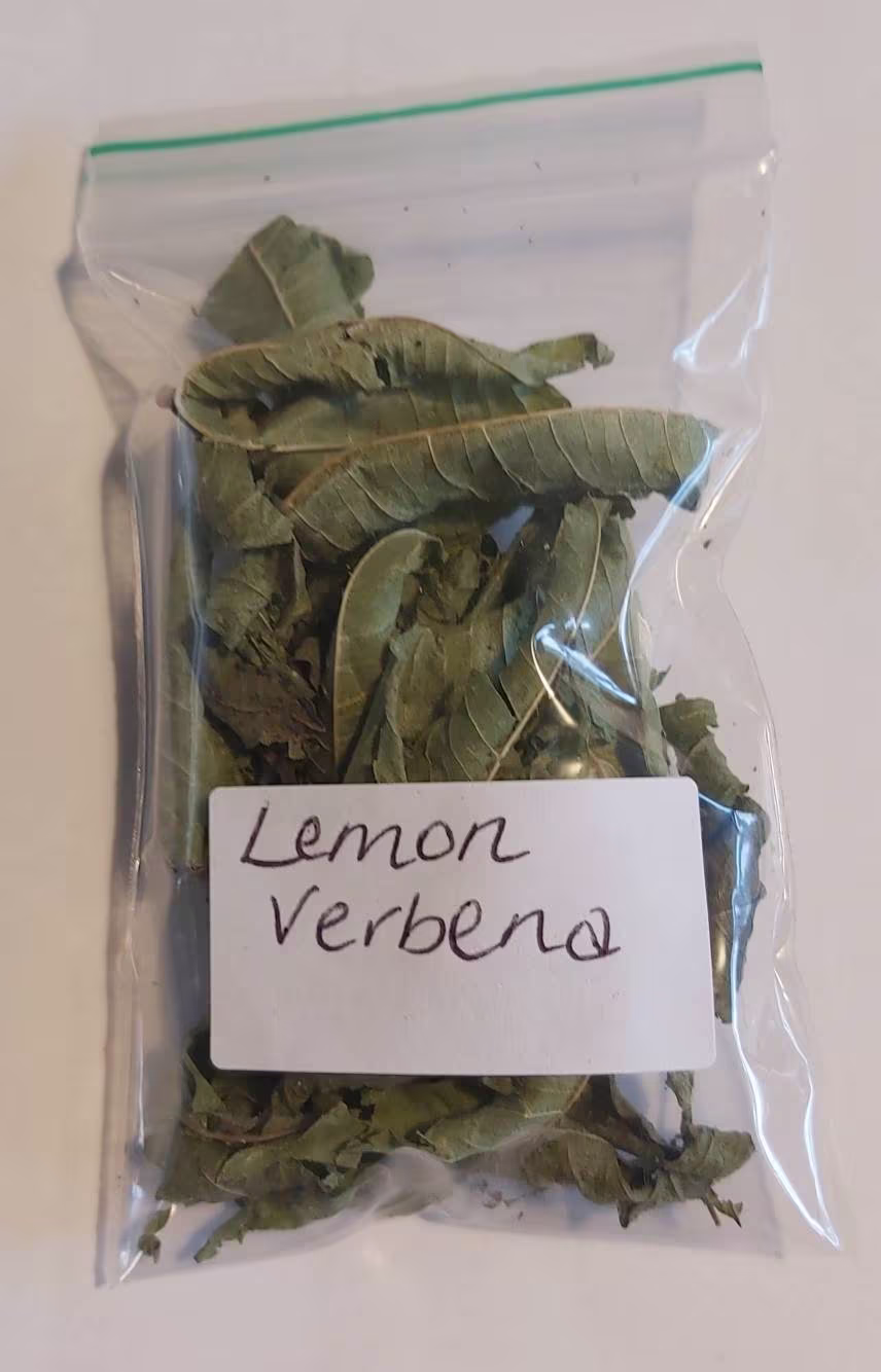 Lemon Verbena Fragrant Home Grown Loose Magical & Healing Herb - Spells & Incense Magic Wicca Pagan