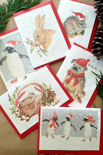 Seed Christmas Cards. Eco Recyclable Card. Seed Penguin Dormouse Mouse Bunny