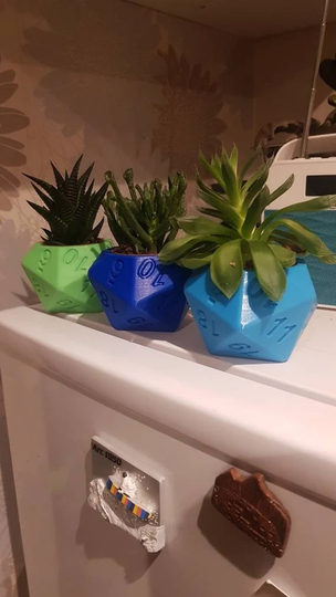 20 Sided Dice Style Planter The Perfect Indoor Cactus Plant Pot