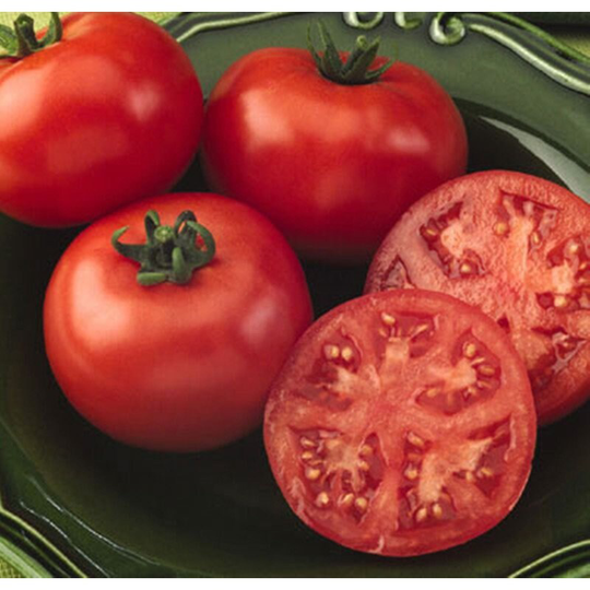 Tomato Lyana Seeds Heirloom Non Gmo For Planting | 201145