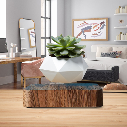 Levitating Plant Floating Pot Magnetic Planter 360-Degree Rotation - Home Desk Office Indoor Succulent Bonsai Maceta Flotante