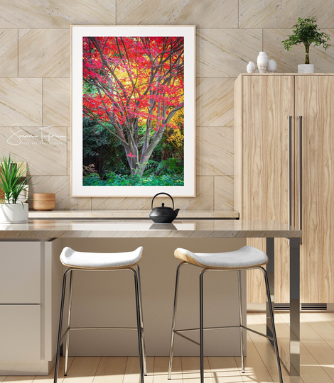 Autumn Photography Seasonal Tree, San Francisco Fall Color Print, Large Tree Canvas, Gold Red, Home Decor, Colors Fine Art