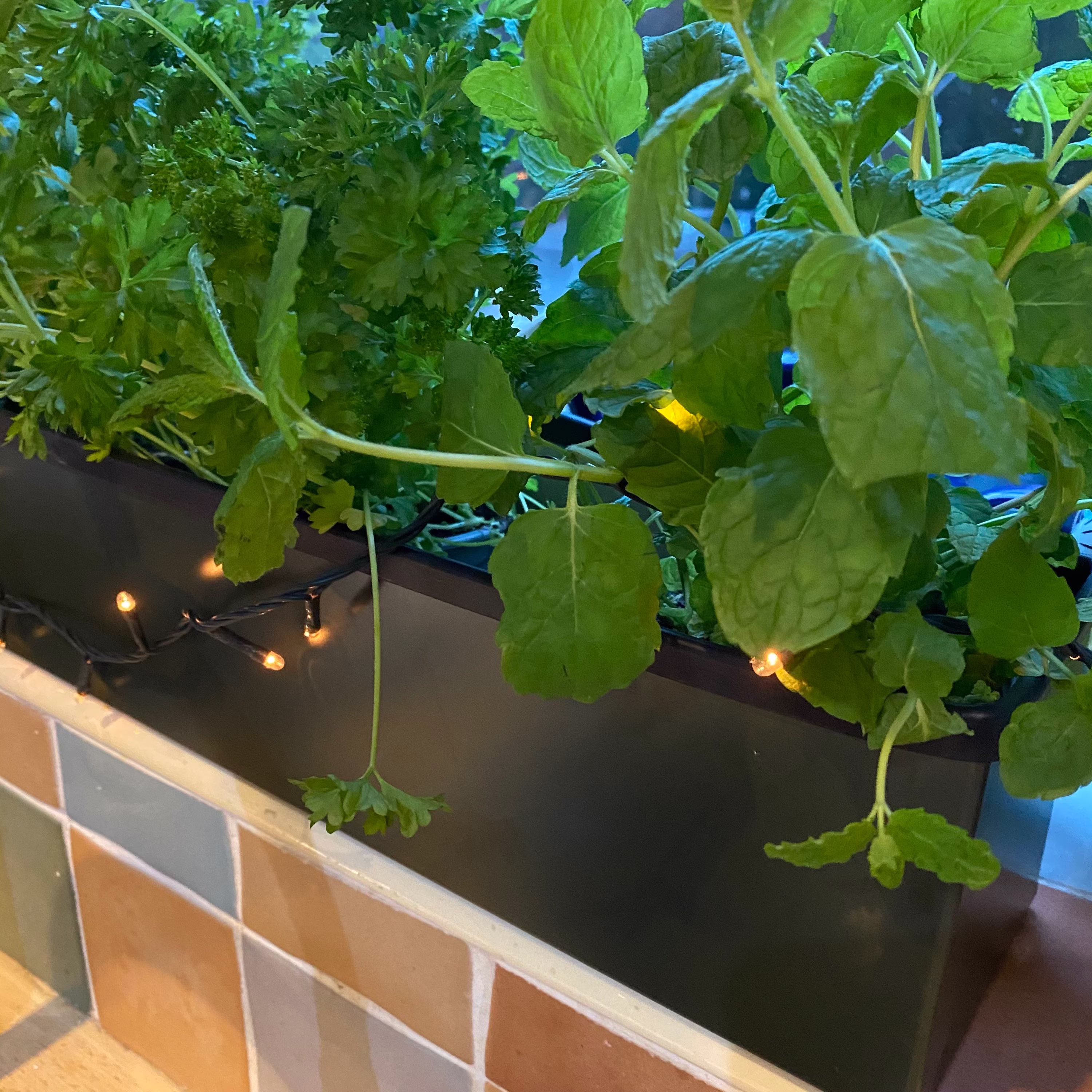 40cm Long Juniper Green Window Box Style Handmade Metal Planter, With Rubber Trim On Top Edge Leathergrain Effect Surface