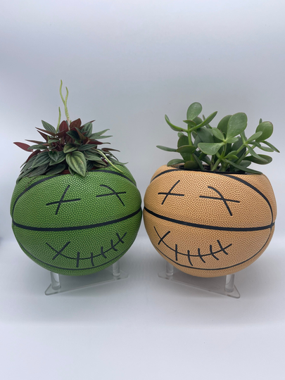 Cactus Jack Mini Basketball Planter/Indoor Size