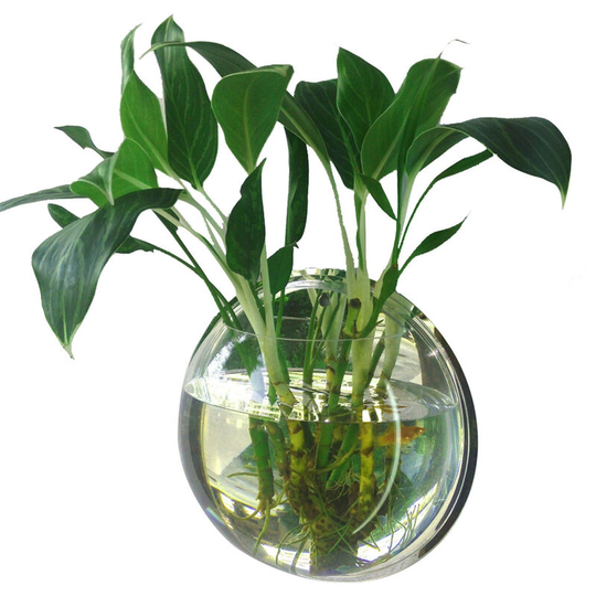Home Decoration Wall Mount Fish Tanks Goldfish Bowl Acrylic Hanging Aquariums Flowerpot Flower Vase