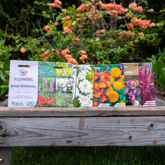 The Flourishy Cottage Garden Seed Subscription Box