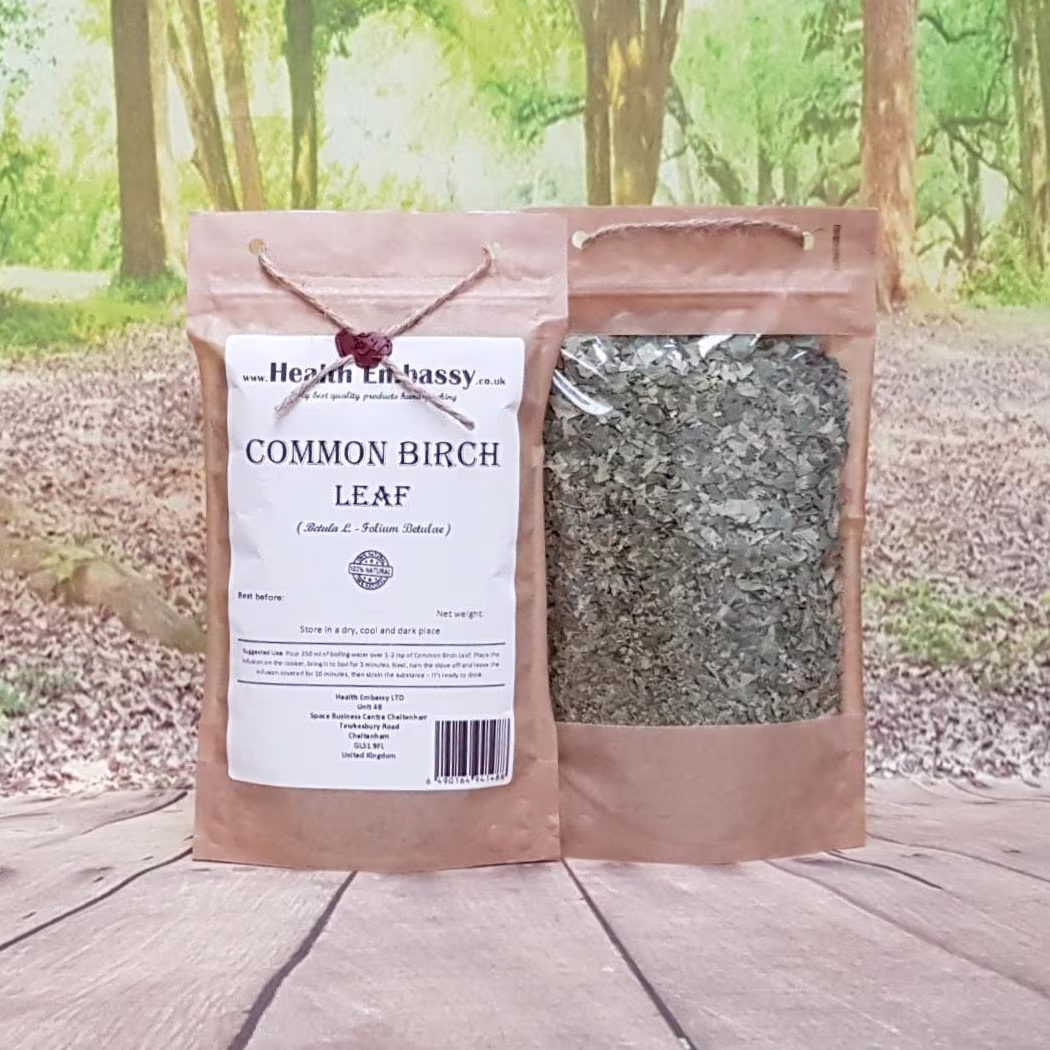 Common Birch Leaf Tea | Folium Betulae Health Embassy 100% Natural Herbal