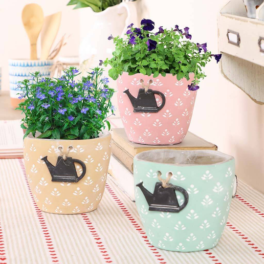 Set Of Three Pastel Watering Can Planters