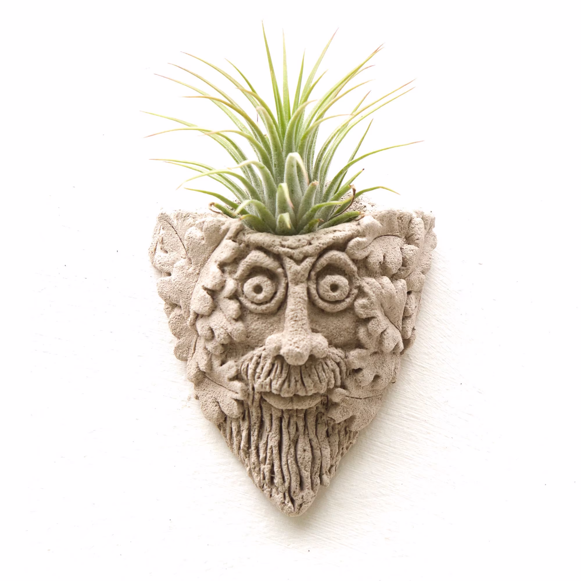Green Man Airplant Holder, Green Man Air Plant Pot, Display, Flower