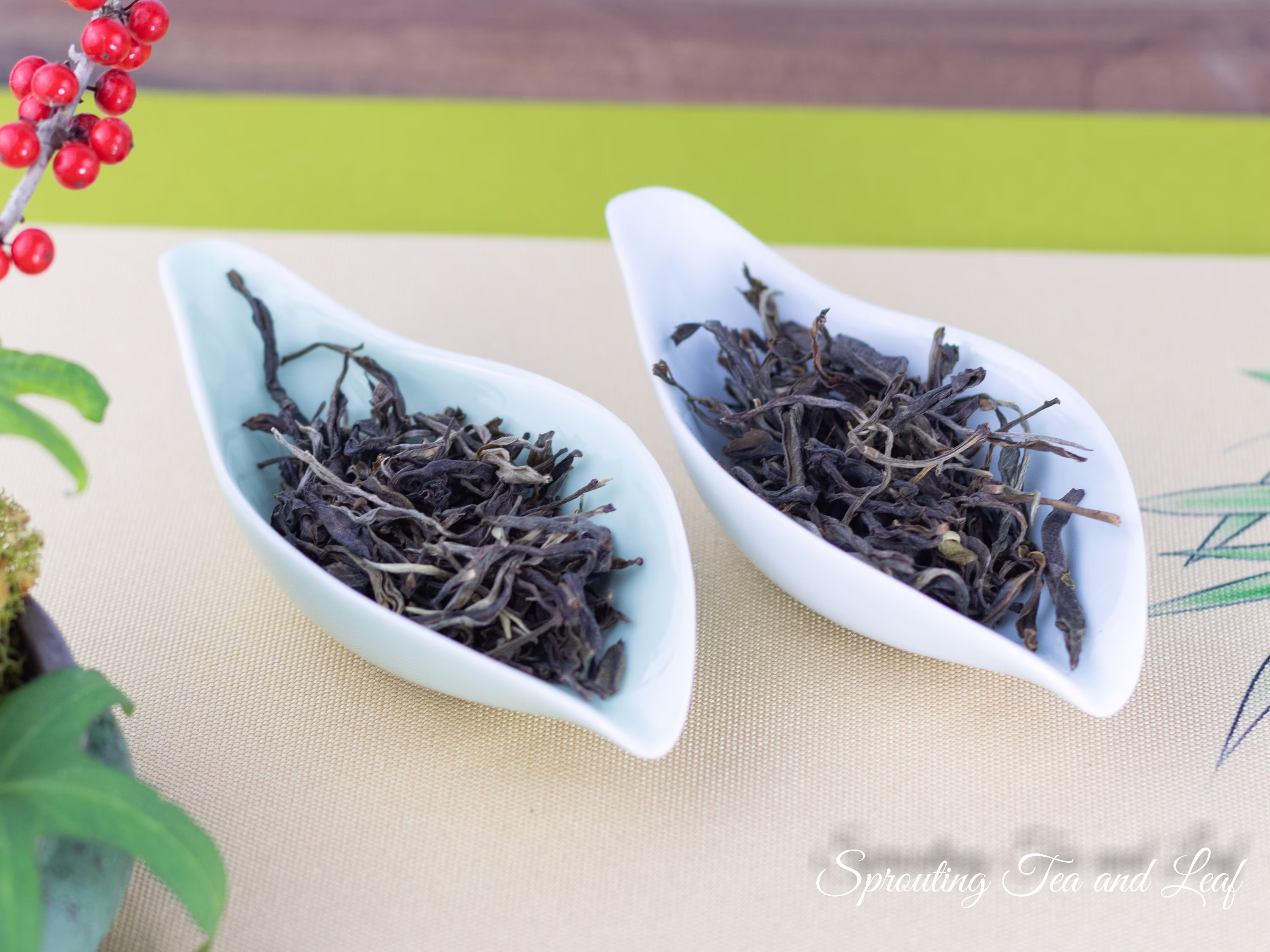 Ceramic Tea Spoon Cha He/Cha Ze - Lotus Petal Shape 2 Colors