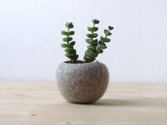 Felt Planter | Mother Day Gift, Japandi Home Decor, Felted Bowl, Succulent Pod, Scandinavian Minimalist Air Plant Vase