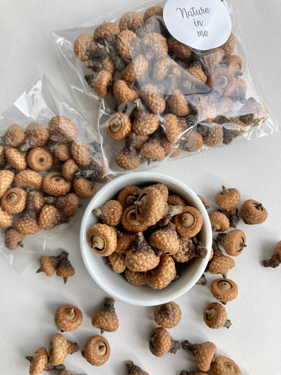 Tiny Dried Acons For Resin Jewelry Plants Garden Plant Flowers Fo Rustic Woodland Resin Supply