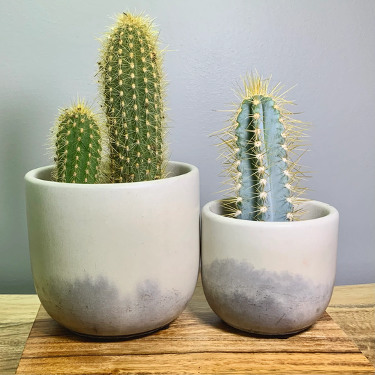 Concrete Planter Charcoal Storm Blend | Boho Neutral Plant Pot With Drainage Minimalist Modern Indoor Large 4 Inch Flower