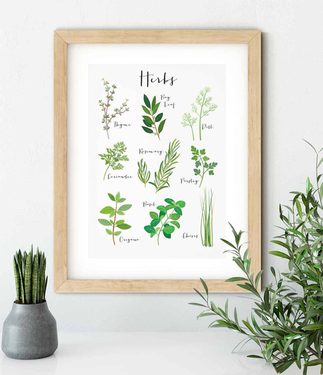 Culinary Herbs A4 Art Print