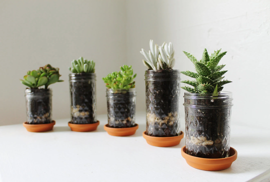 Mason Jar Planters With Drainage - Set Of 5 Upcycled Jelly & Terra Cotta Saucer Plates Bootsngus Modern Home & Garden Glass Pots