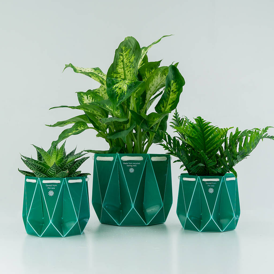 Three Origami Self Watering Eco Plant Pots - Sea Waste