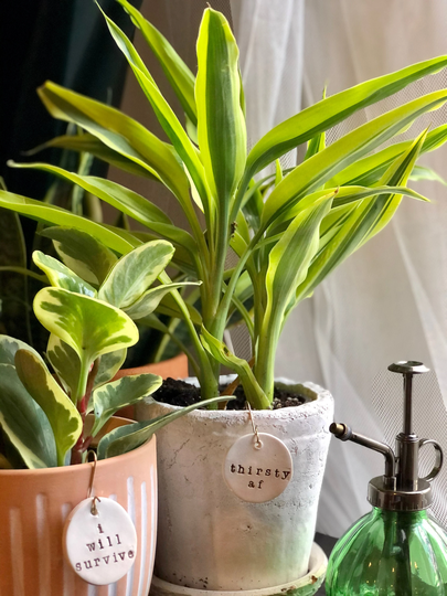 Punny Plant Tags, Indoor Accessories, Tag, Plant Lover Gift, Gift