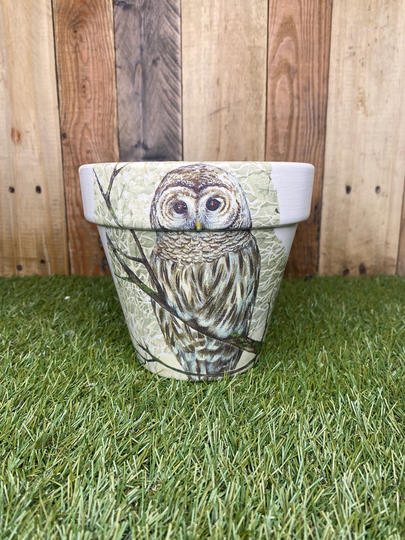 Decoupaged Owl Plant Pot, Owl Gift, Flower Terracotta Decoupaged 15cm Pot