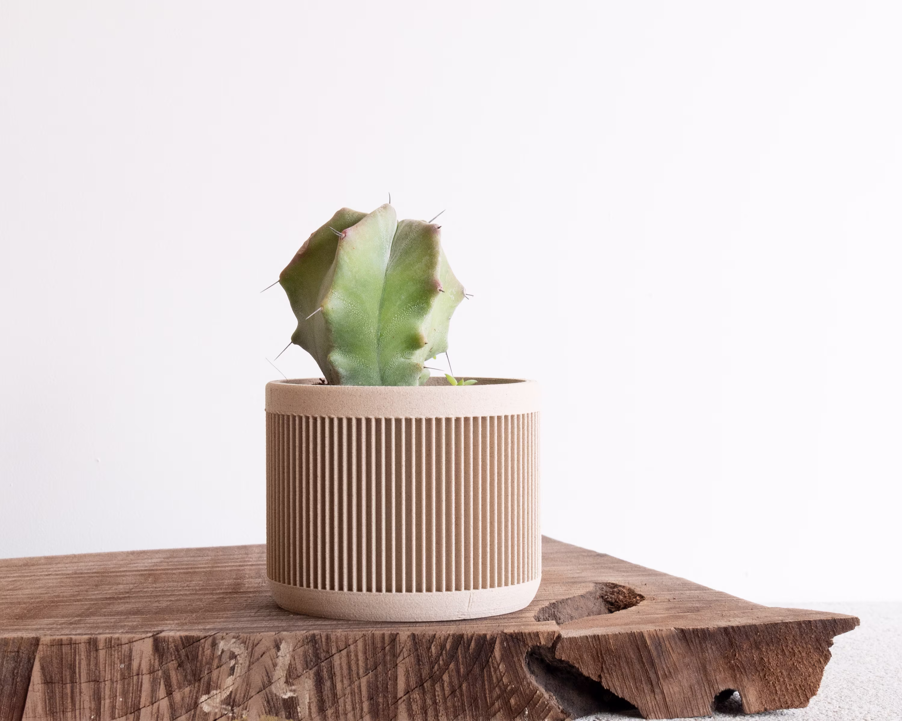Indoor Planter - Japan Cream Original Gift