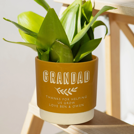 Personalised Grandads Indoor Plant Pot For Fathers Day, Personalized Gift Dads & Grandads, Planter Houseplants Succulents