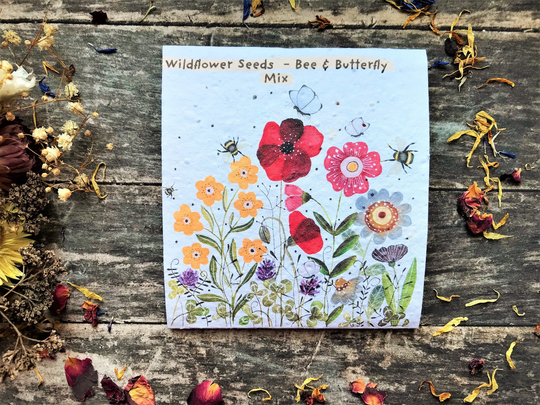 Pack Of Wildflower Bee & Butterfly Seeds Mix, Illustrated Nature Inspired Gifts , Great Colours , Birthday Gift , Mothers Day Gift