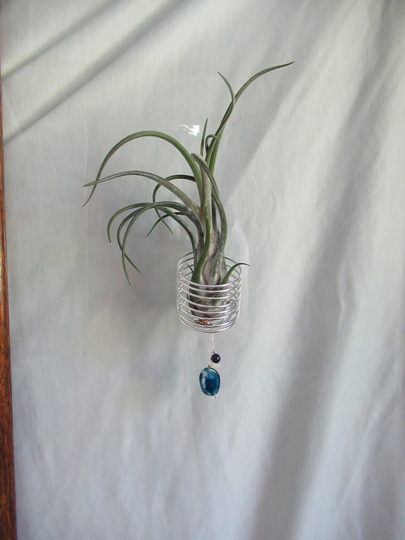 Window Wire Air Plant Hanger X-Large Silver - Tillandsia