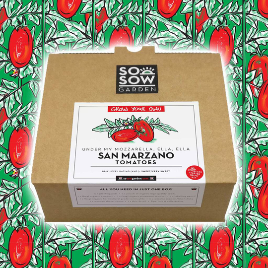 San Marzano Tomato Grow Your Own Kit