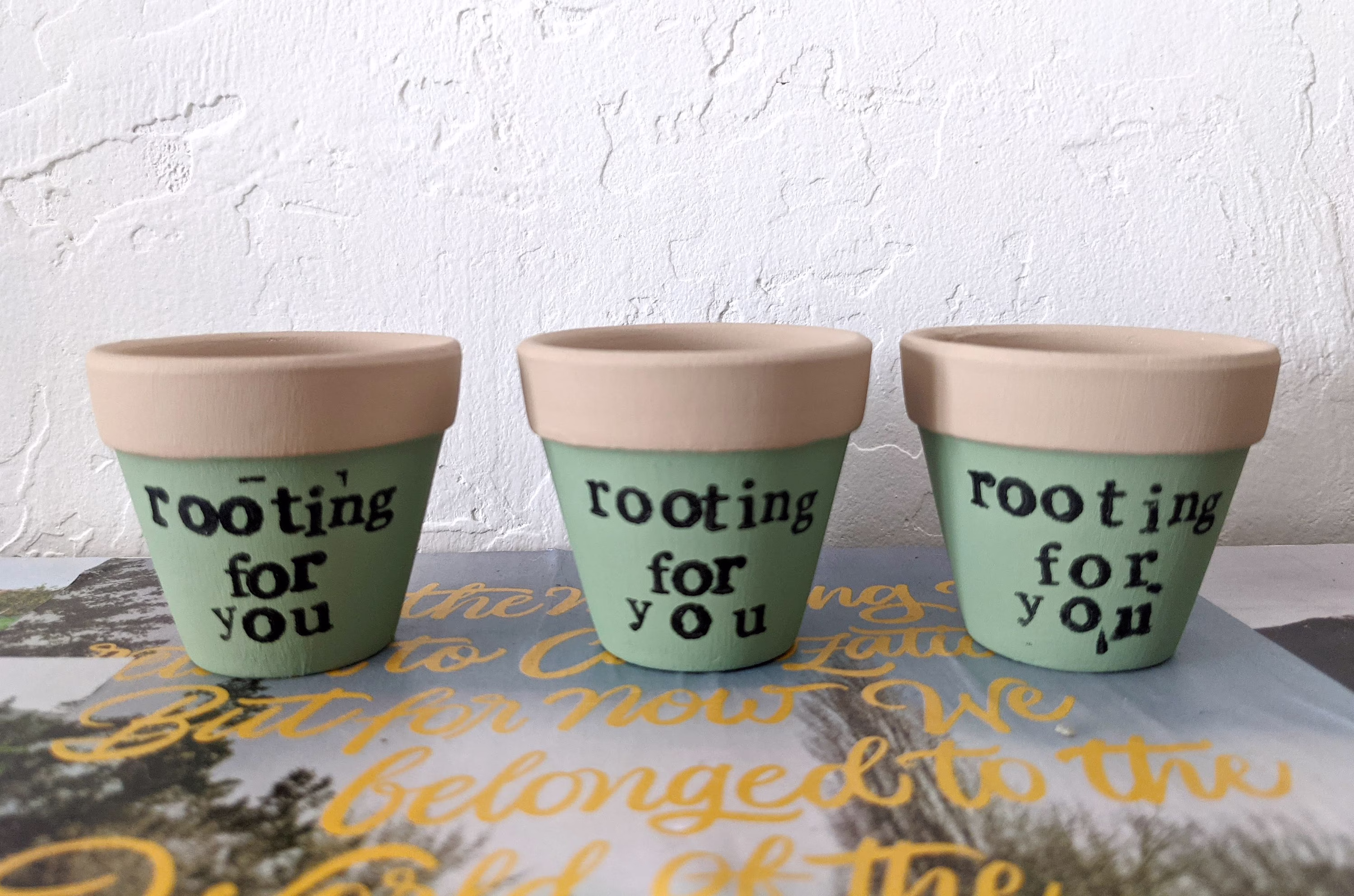 Rooting For You, Hand Painted Pot, 2 Inch Terra Cotta Seed Starter Succulent Houseplants