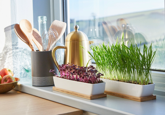Rectangular Ceramic Planter