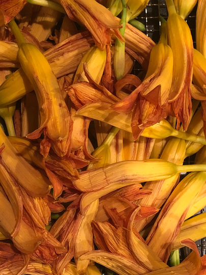 Tiger Lily Flowers & Pods, Dried Organic