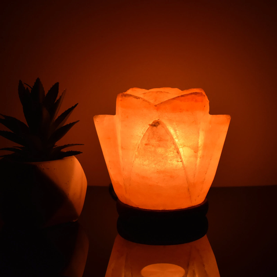 Himalayan Pink Salt Lamp Natural Hand Crafted Crystal Rock Flower 2-3Kg Mothers Day Gift