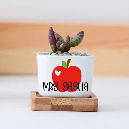 Teacher Gifts, Succulent Pots, Gift For Teacher, Idea Gift, Appreciation