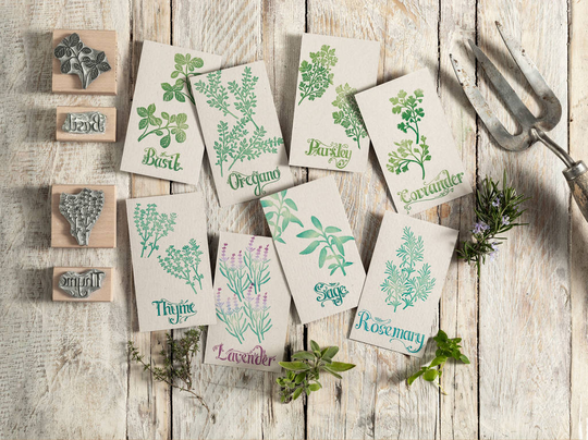 Garden Herbs Rubber Stamps, Botanical Herb Stamps