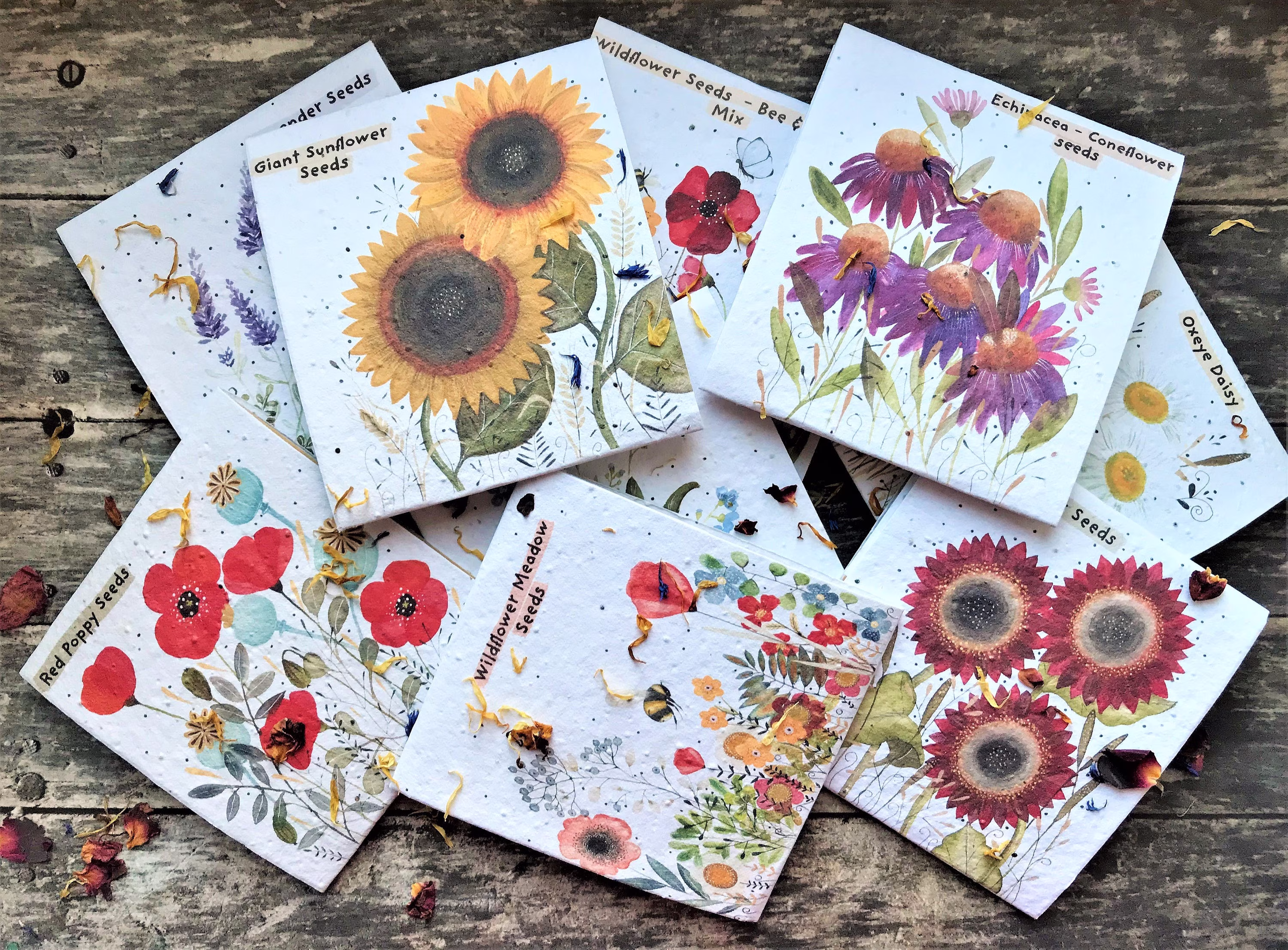 Pack Of 9 Assorted Flower Seed Packets, Beautifully Illustrated Nature Inspired Gifts , Birthday Gift, Mothers Day Gift, Valentine's Day Gift