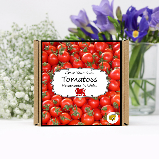 Grow Your Own Tomato Plant Kit. Seeds Growing Kit. Gardening Gifts For Women, Men, Him, Her, Grandad & Children