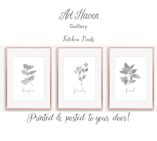 Set Of 3 Herb Kitchen Prints, Grey Wall Art, Print, Parsley, Oregano, Basil Soft Room Decor