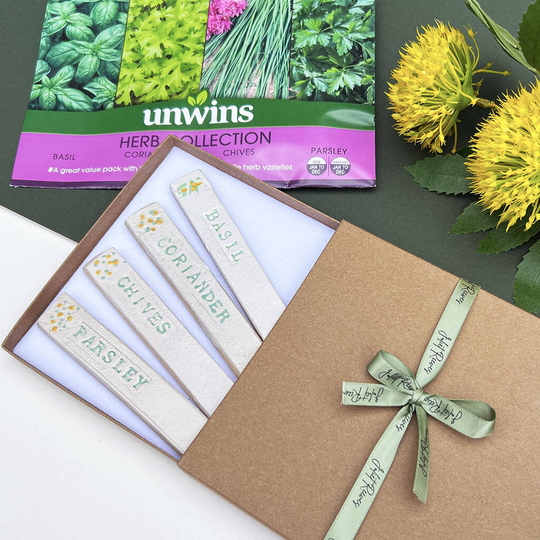 Grow Your Own Herbs Gift Set