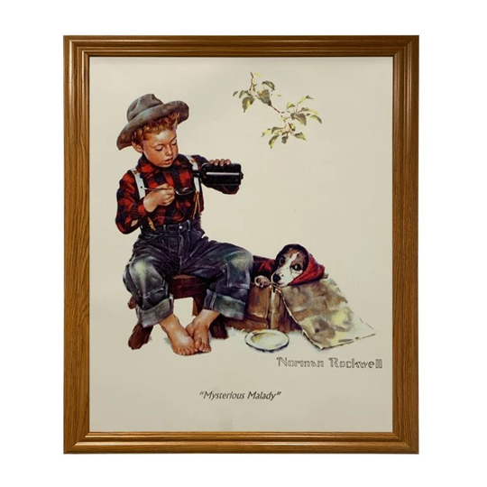 Norman Rockwell Medicine Rustic Art Light Oak Framed Wood Picture Print