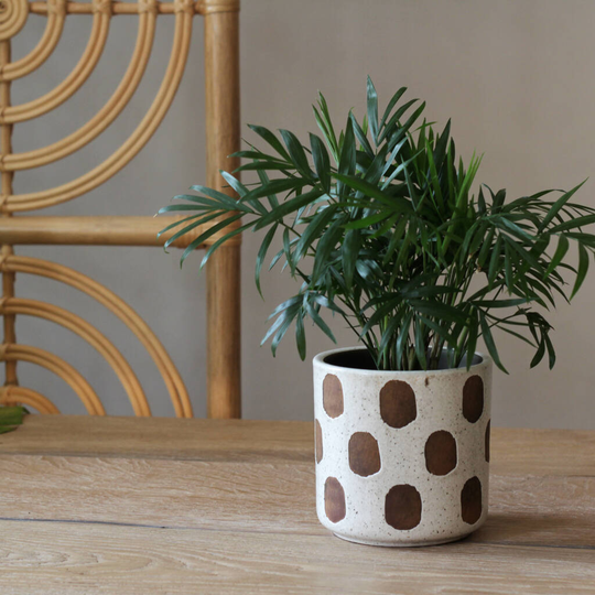 Terracotta 'Azka' Planters Black And White