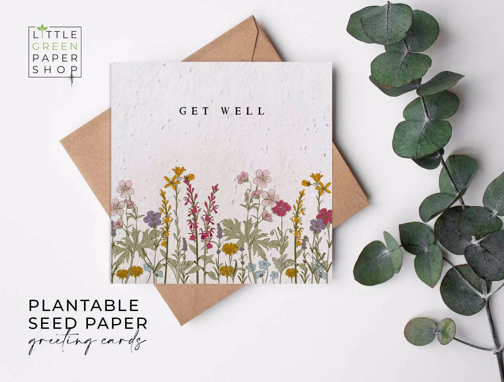 Plantable Flower Seed Paper Cards - Get Well -Greeting, Gardening, Gift, Congratulations, Friends, Family, Eco-Friendly, Biodegradable