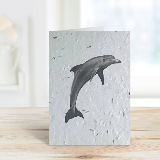 Aries The Dolphin Plantable Seeded Eco Greeting Card