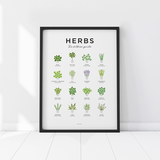 Herb Print, Fresh Culinary Herbs, Kitchen Wall Art, Herbs Guide Prints, Poster, Botanical Garden