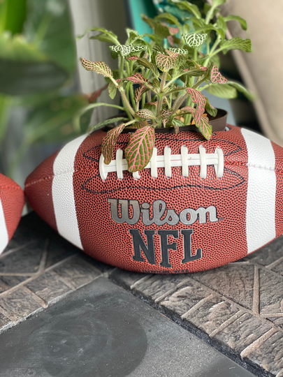 Nfl Lifeball | Horizontal