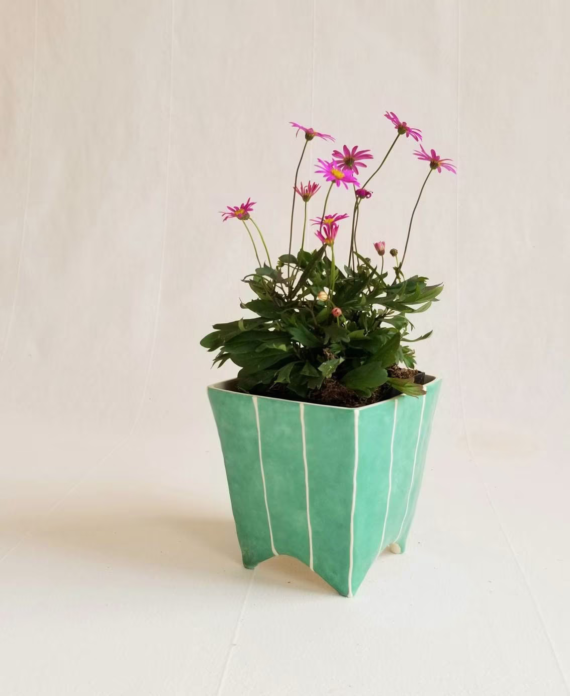Indoor Plant Pot For Succulent Or Cactus. Herb Planter